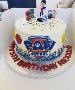 242091135_917967718807948_9163375961380030894_n