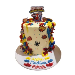 Spidey Cake